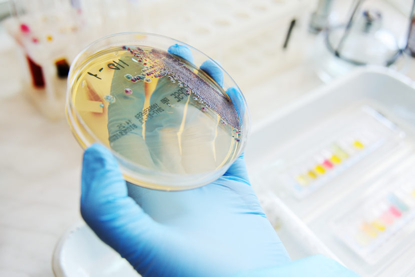 Mikrobiologie
